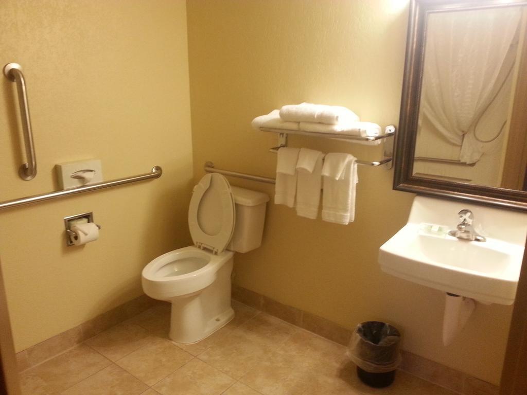 Quality Inn & Suites Saginaw Chambre photo
