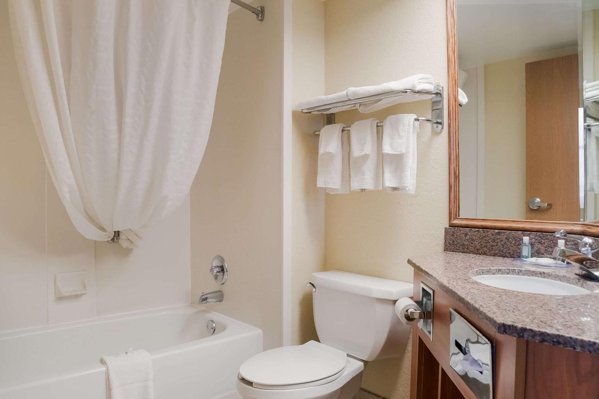 Quality Inn & Suites Saginaw Extérieur photo