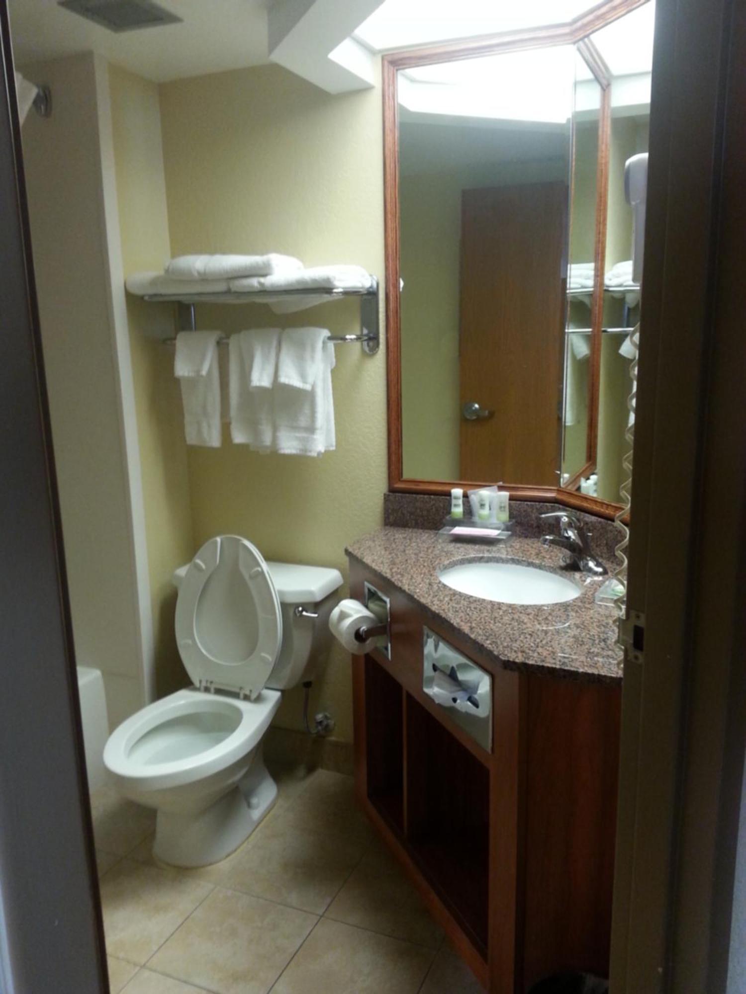 Quality Inn & Suites Saginaw Extérieur photo