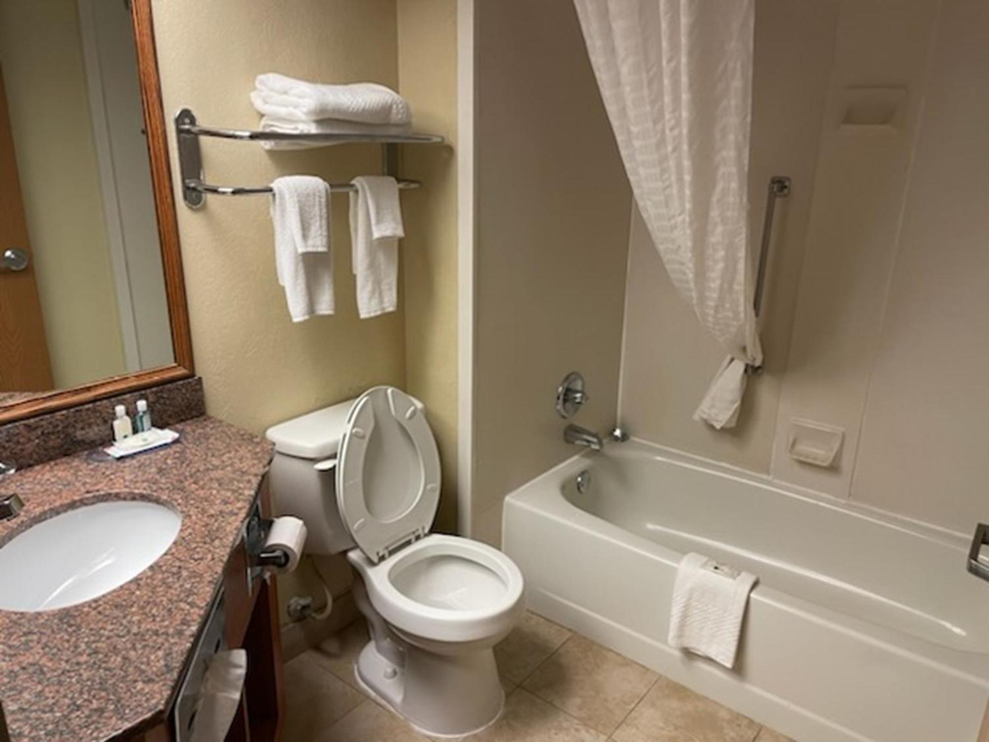 Quality Inn & Suites Saginaw Extérieur photo